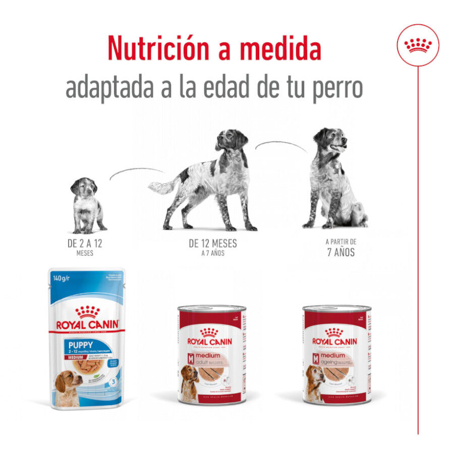 Royal Canin Medium 7+ Ageing lata para cães, , large image number null